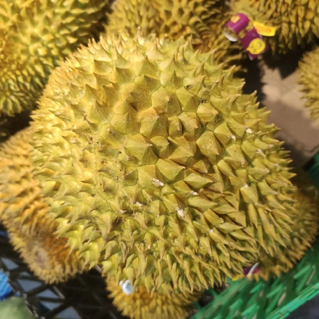 【果蔬易购】湿包，生包，冷冻榴莲（不包售后）