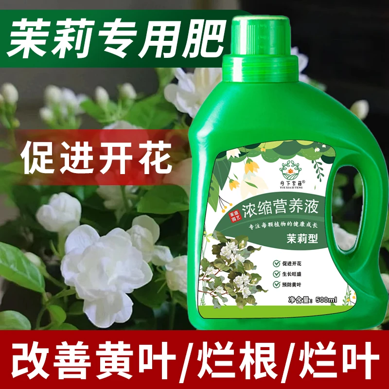 茉莉花肥料专用肥营养液酸性植物家用养花肥料盆栽茉莉花通用肥料
