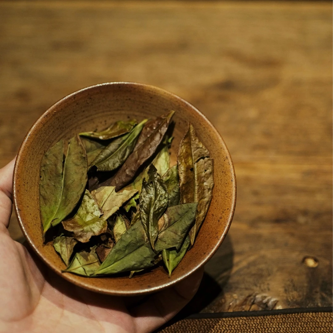 云绅茶事2024年福鼎白茶抛荒古枞寿眉冰凉感木质香荒山大叶50g