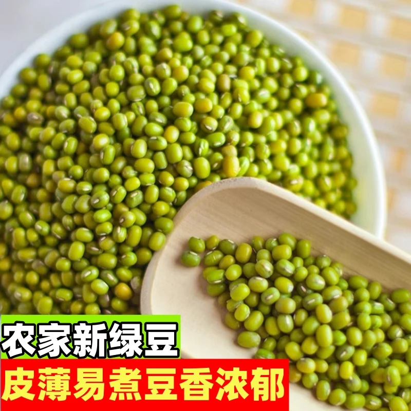 新货绿豆精选农家自产绿小豆明绿豆饱满易煮绿豆汤原料可发芽绿豆