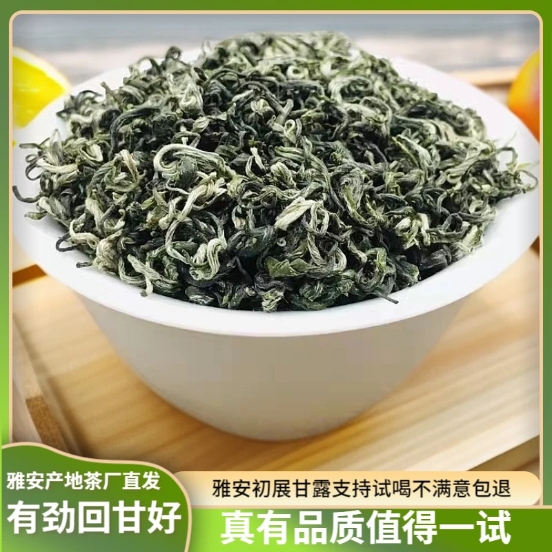 精品春甘露2025新茶春茶（春A280款甘露）四川蒙顶山高山绿茶茶叶
