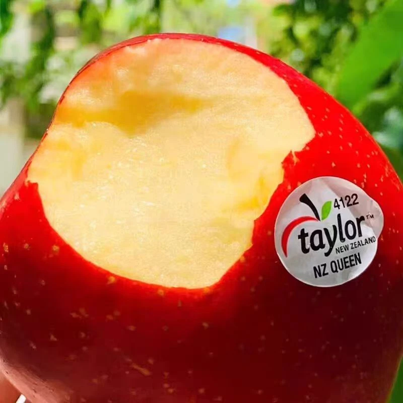 新西兰泰勒红玫瑰苹果约1斤