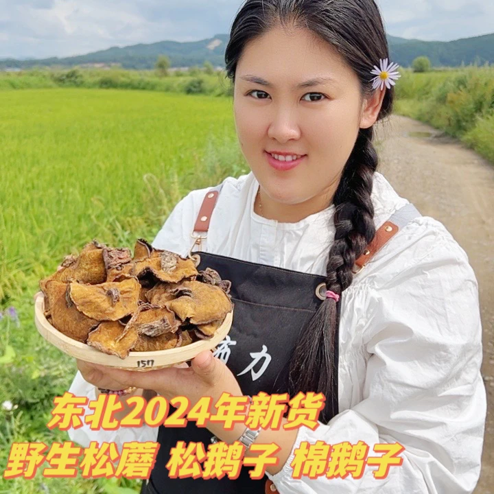 东北农家干松蘑（松蛾子）2025年新货