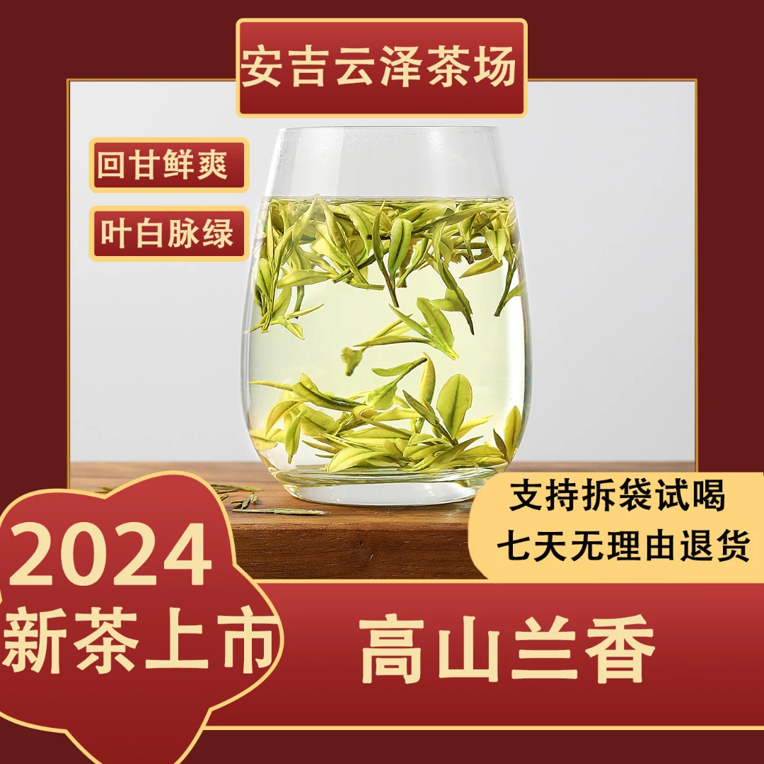 2024新茶【高山兰香】明前采摘高山白茶 回甘鲜爽兰花香绿茶叶