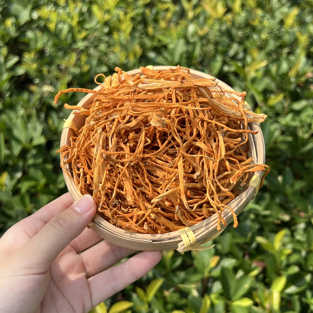 高山 农家 虫草花