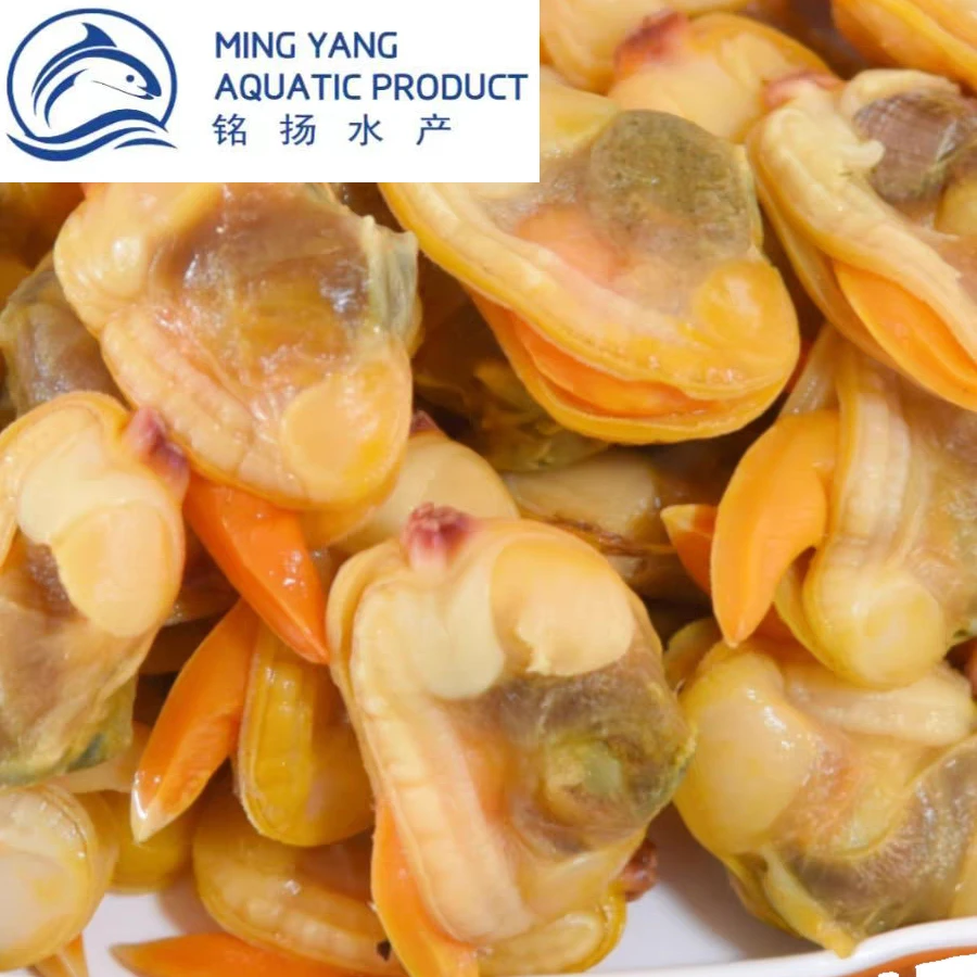 【东港当地文贝肉】特大 纯肉 口感鲜甜 新鲜 营养丰富 顺丰包邮