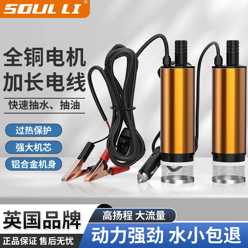 电动抽油泵12V24V加油神器柴油油抽子吸油泵油枪小型加油机抽水泵