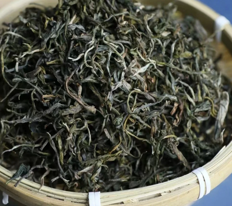 野猪林单株 普洱生茶 散茶50g 2024年