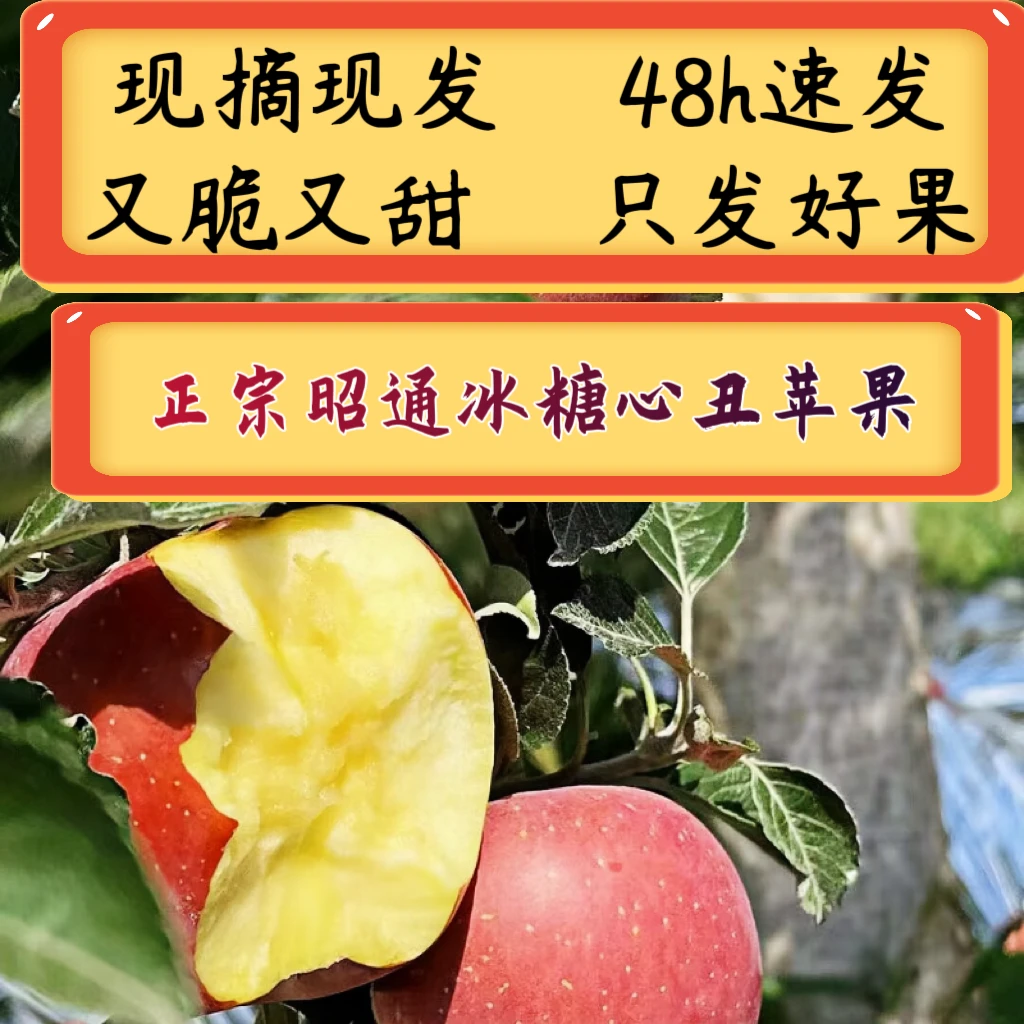 云南昭通冰糖心丑苹果当季应季新鲜水果自然成熟甜脆多汁现摘现发