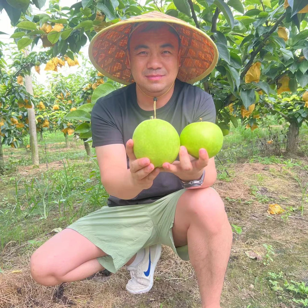 三宝爸 苏翠一号梨 当季水果 产地直采 新鲜水果 好吃纯甜