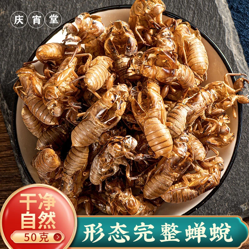 蝉蜕 知了皮50g蝉衣蝉壳虫桔梗蜕虫退爬了猴壳衣知了皮山药知了