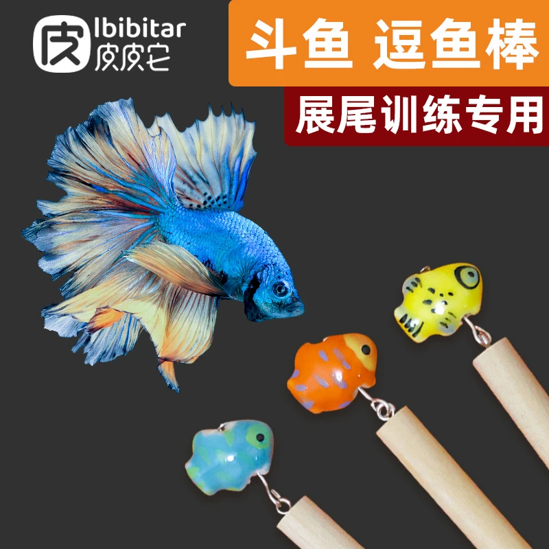 泰国斗鱼棒逗鱼棒半月狮王马尾展尾训练互动小工具用品斗鱼玩具