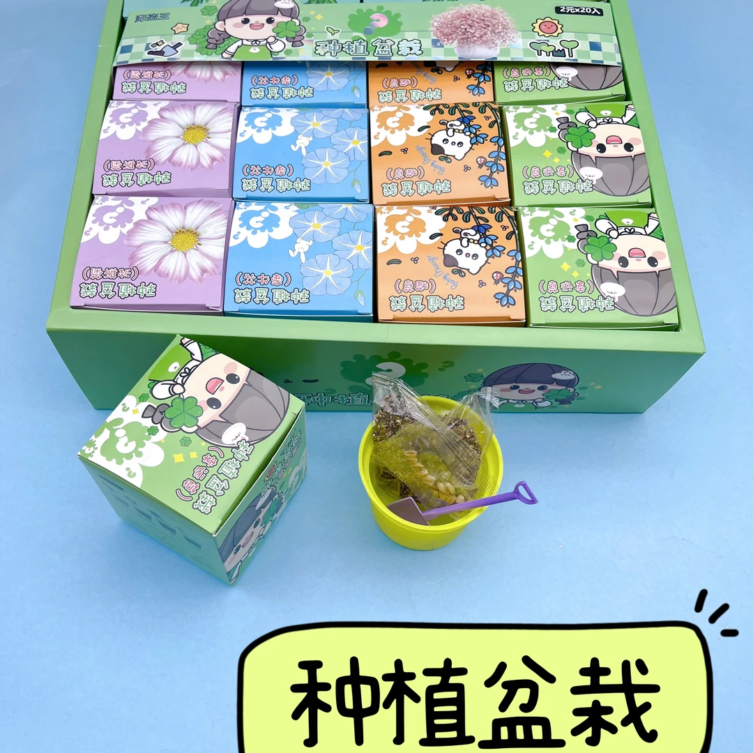 种植盆栽幼儿园儿童学生 种植观察植物花卉种子发芽