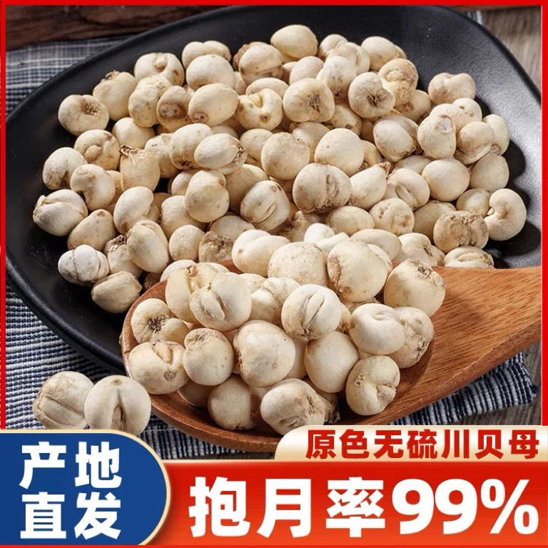 四川川贝母野生川贝母新货无硫川贝粉川贝50克/500克包邮非松贝