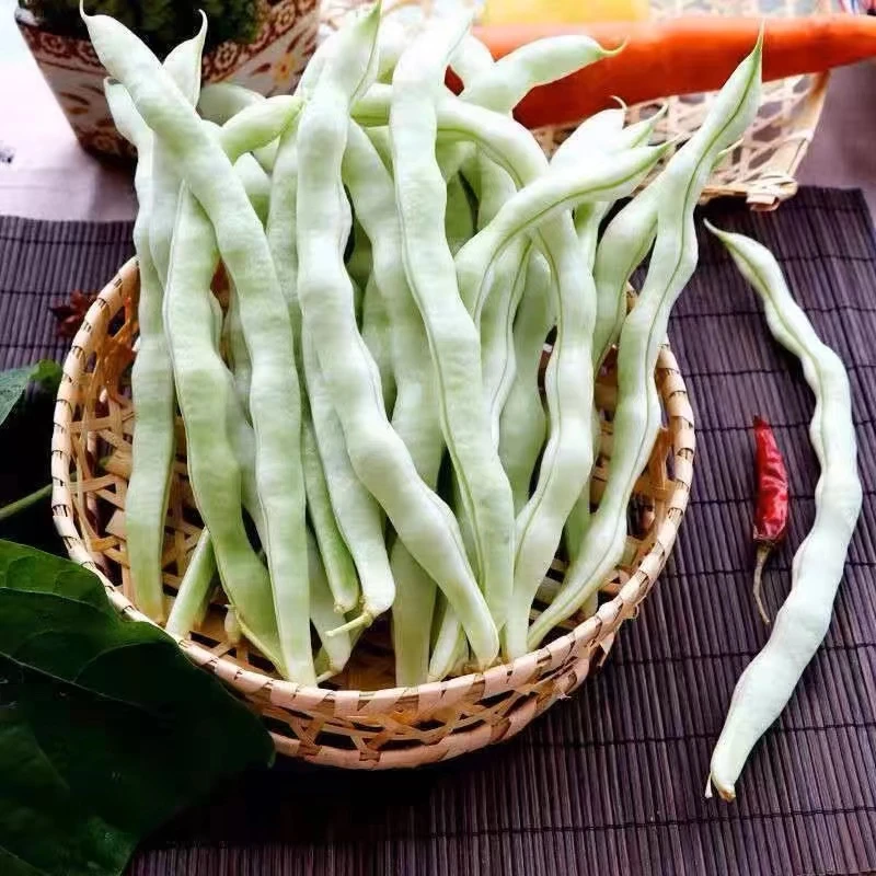 山东现摘芸豆1斤左右