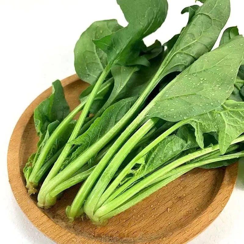 新鲜菠菜1斤左右