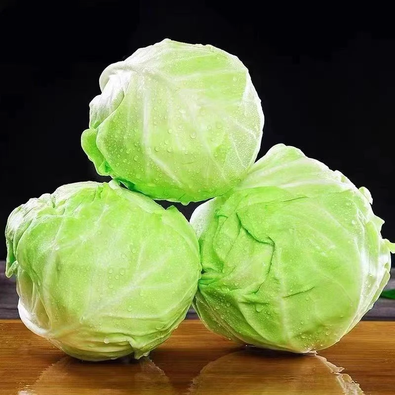 【】山东新鲜大头菜450g±50g/份