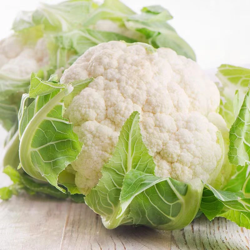 山东 农家新鲜菜花 1个