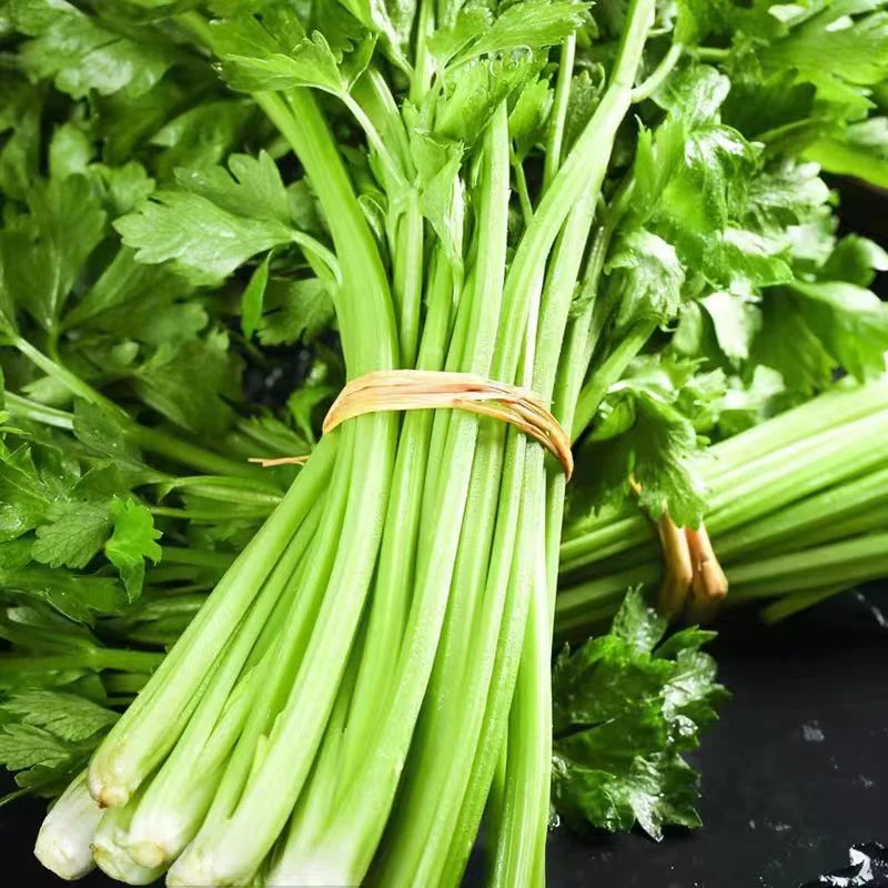 山东农家自种芹菜1斤左右