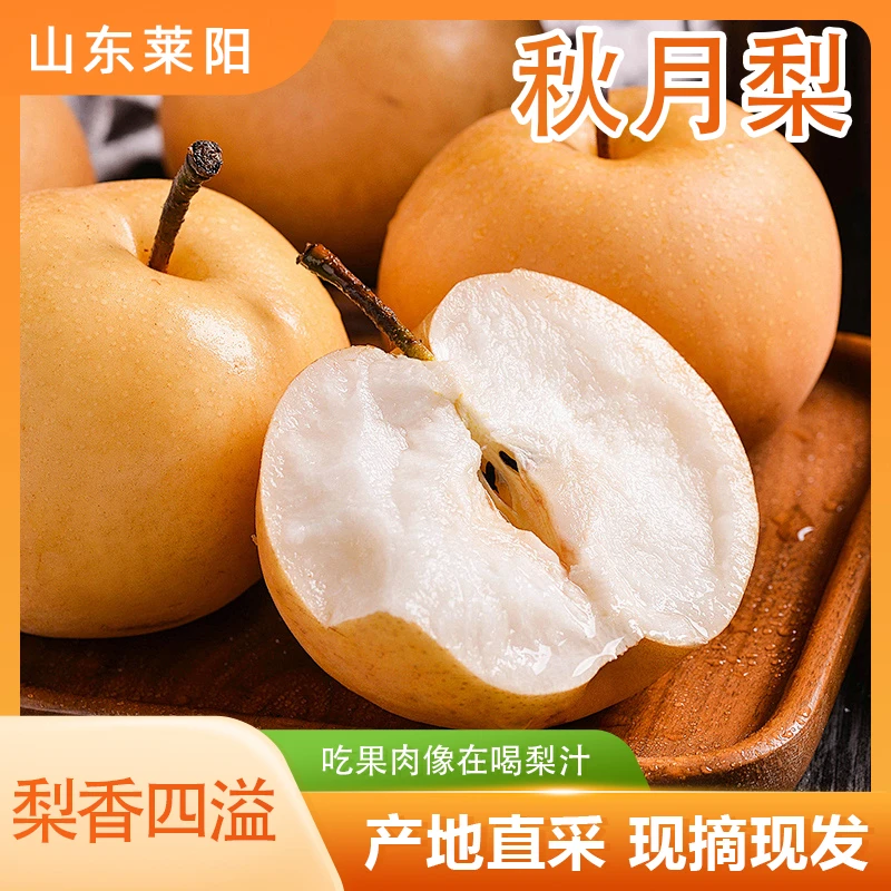 【新鲜采摘】山东莱阳秋月梨4.5斤装 当季新鲜现摘现发 原产地直发