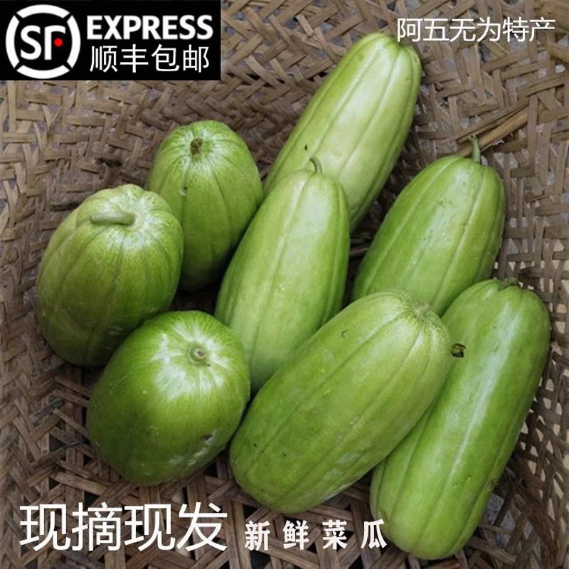 安徽无为特产新鲜蔬菜菜瓜烧瓜捎瓜非甜瓜可生吃2斤3斤5斤装包邮