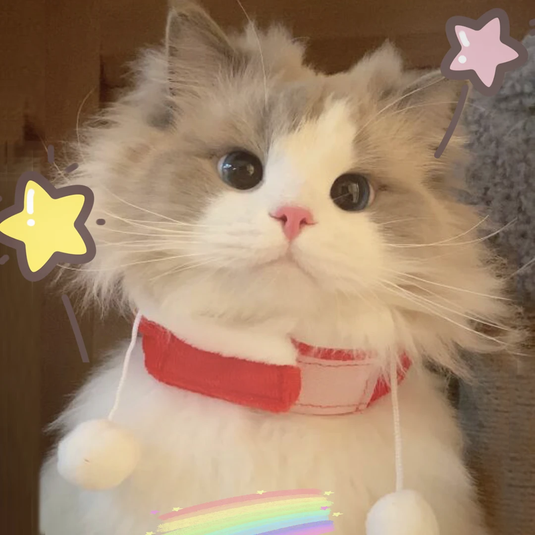 (许愿)猫项圈可爱猫咪围脖手工编织可调节diy编织针织幼猫咪项圈