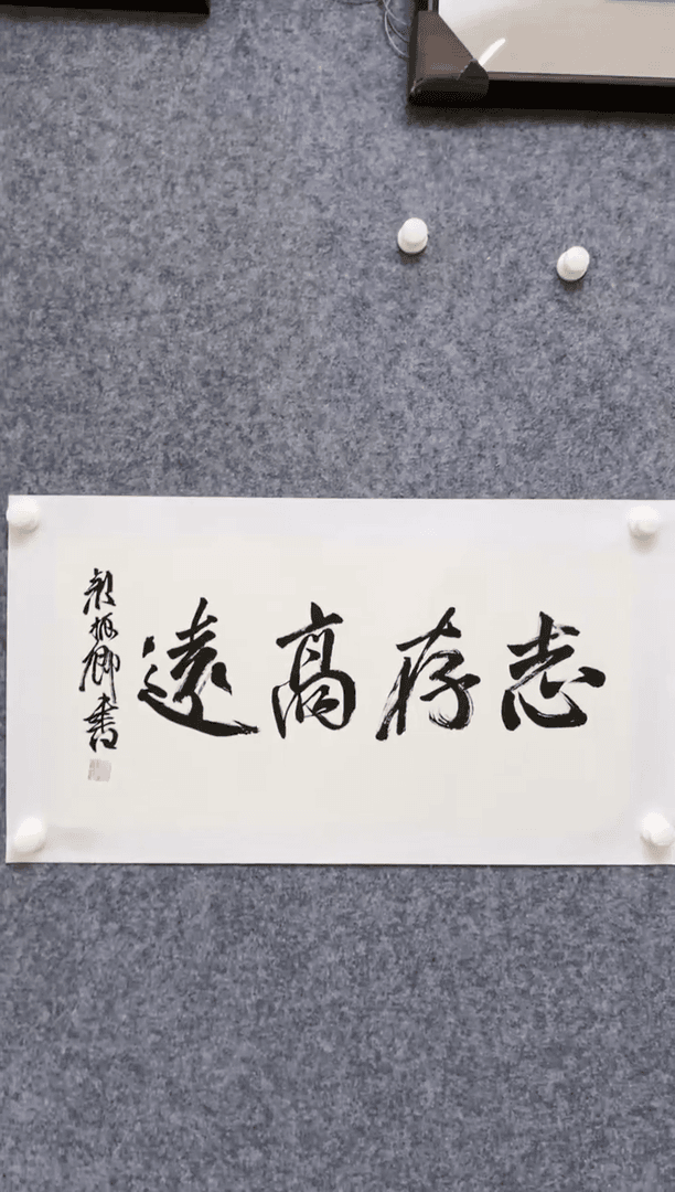 【闪购商品】书法YZQ       志存高远