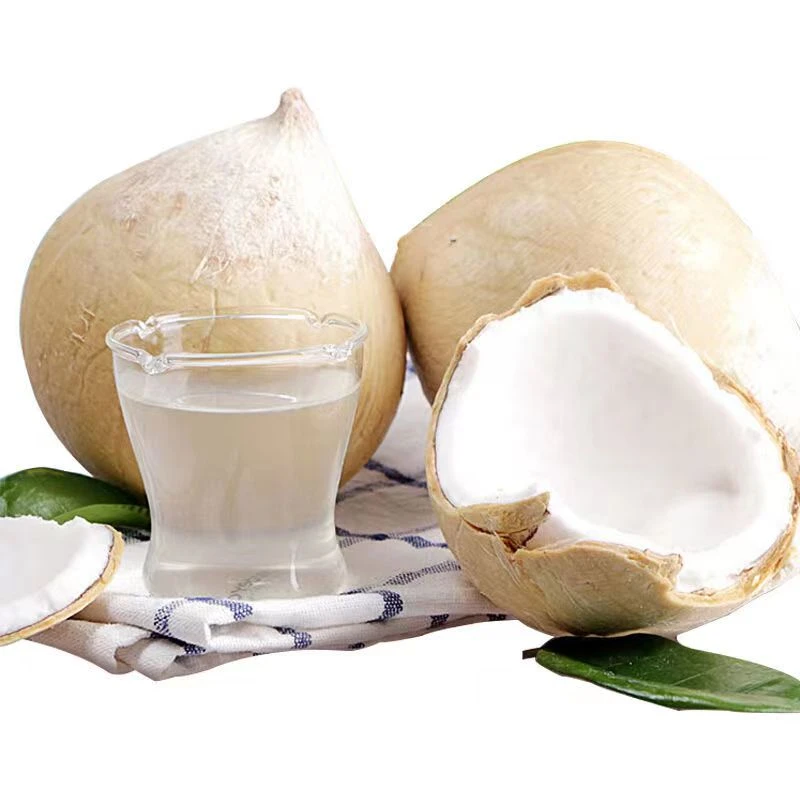 泰国核心产区牛奶椰皇新鲜泰国椰皇大果单果400-1100g