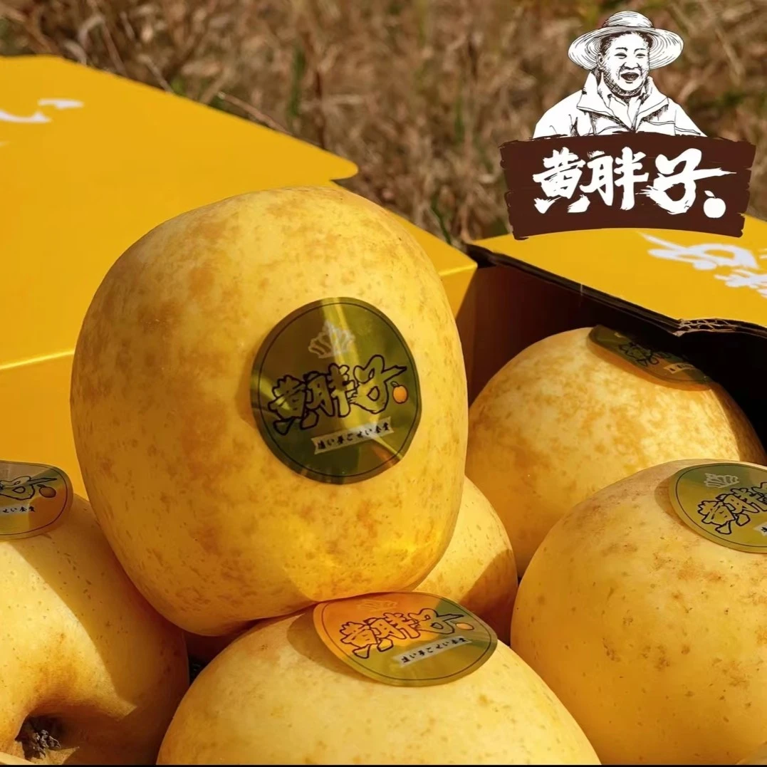 【黄胖子】维纳斯黄苹果9-10头，脆甜多汁好吃果香香甜美味新鲜水果