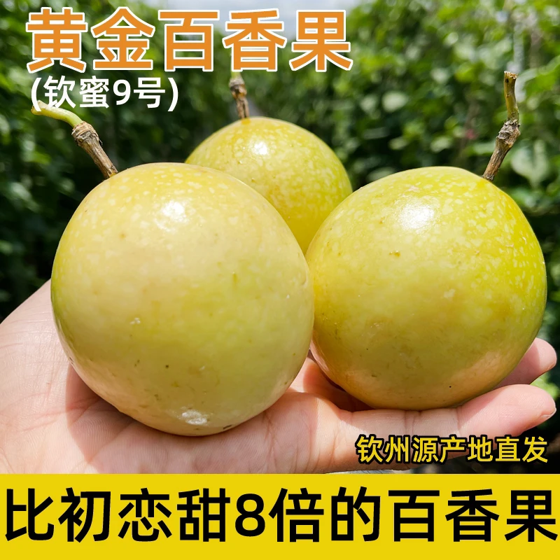 广西钦州黄金百香果纯甜钦蜜九号新鲜水果当季现摘产地直发