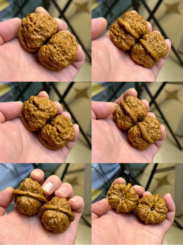 蛤蟆头核桃-尺寸42