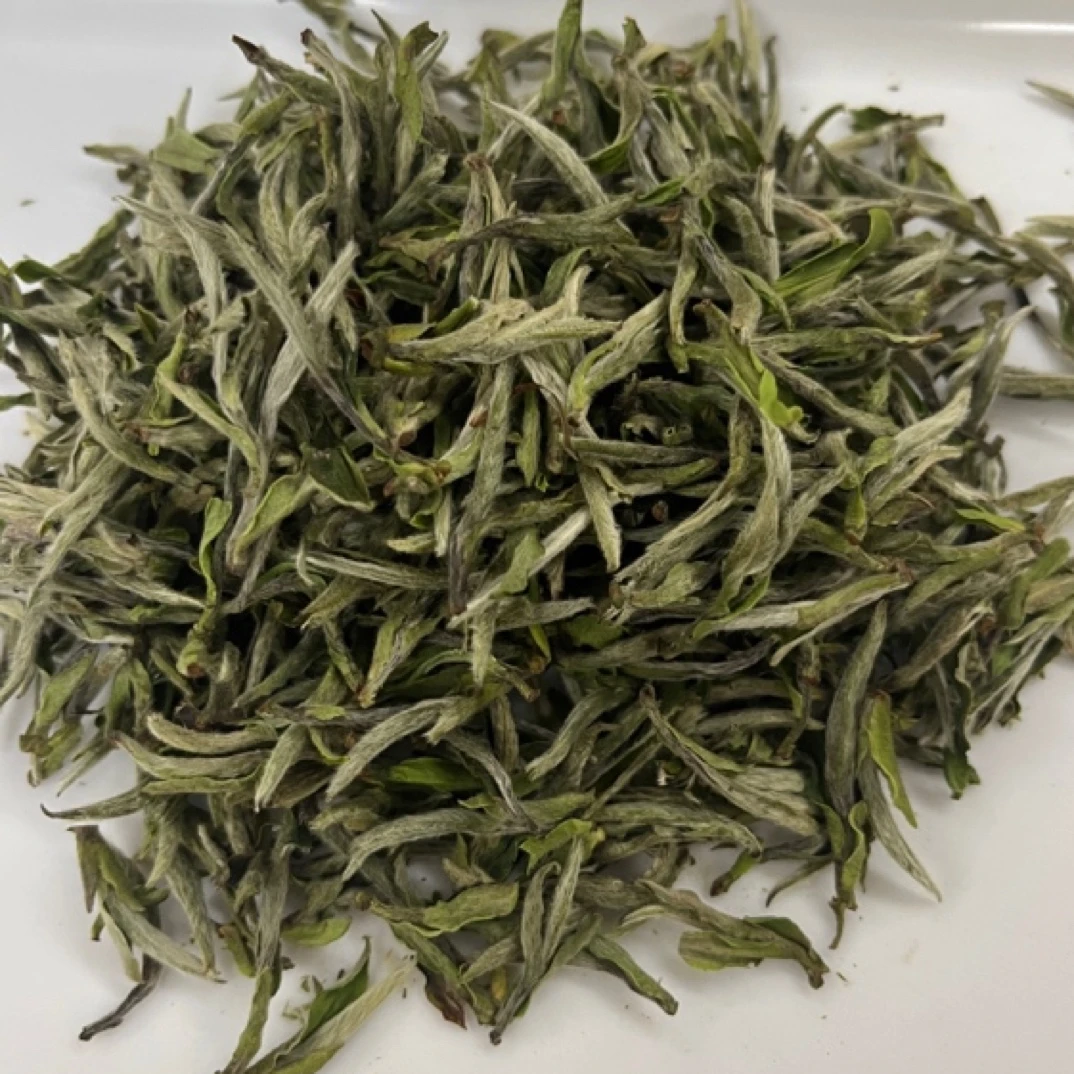 2024年炭焙政和白茶牡丹王50克