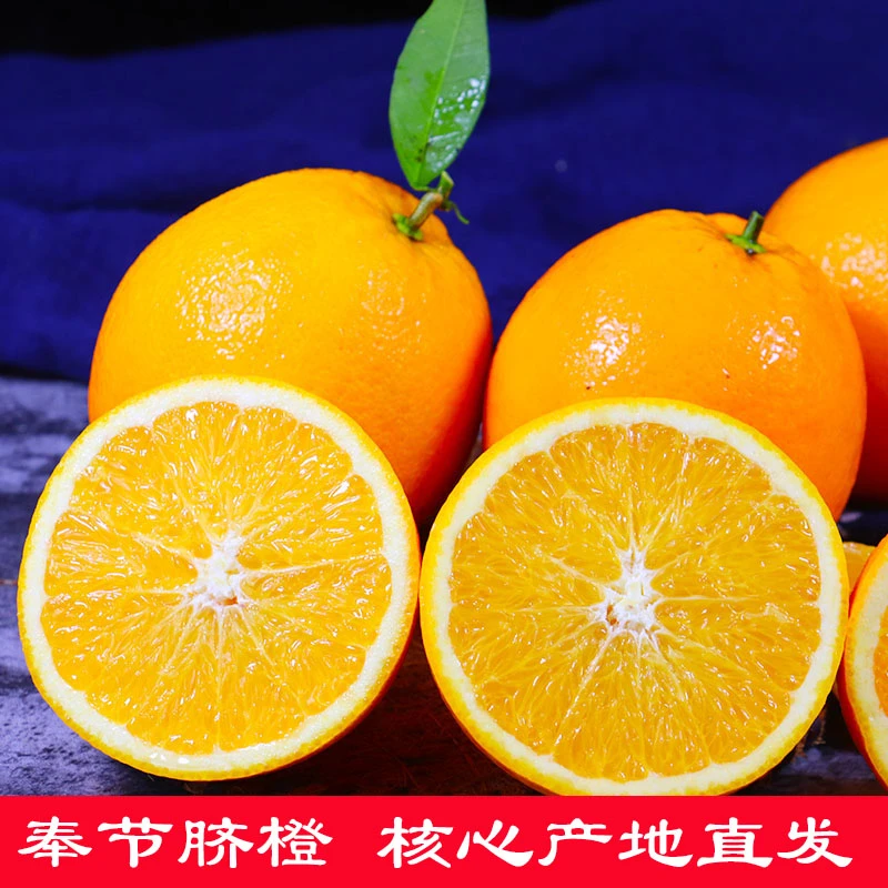 正宗奉节脐橙阳光 鲜甜细腻爆汁原产地直供非赣南脐橙孕妇水果