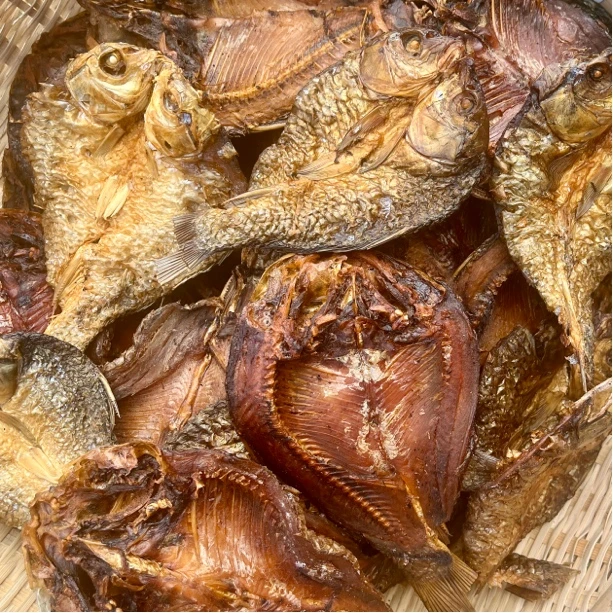 农家稻花鱼 鲤鱼 烟熏