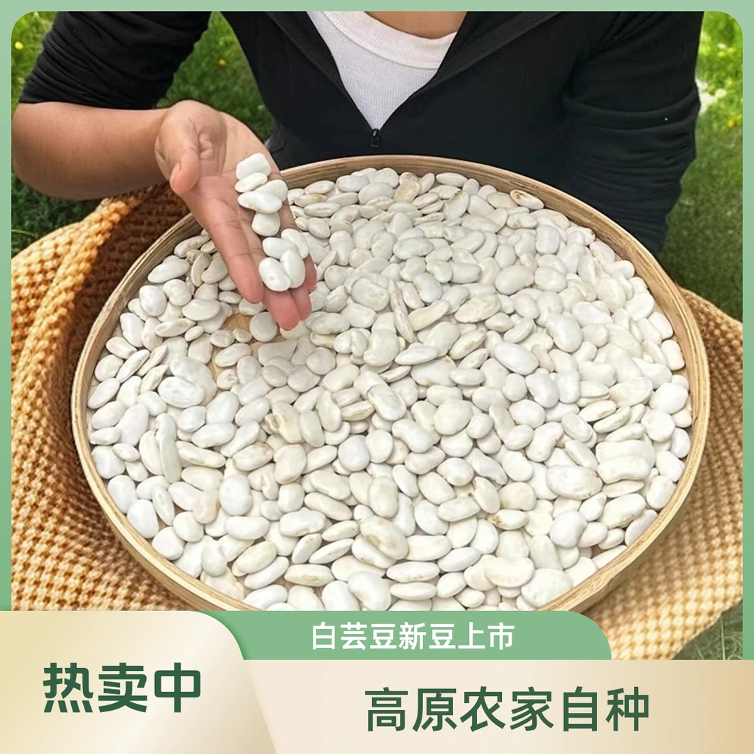 彝乡阿兰妹 云南高原农家种植大白豆白芸豆2024年新豆