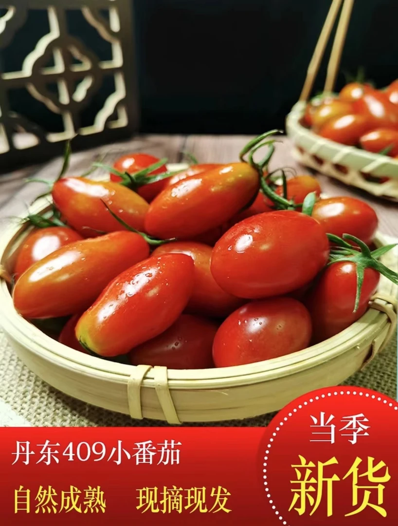 丹东409红花生黄花生小柿子黄珠三色混装酸甜可口现摘现发新鲜
