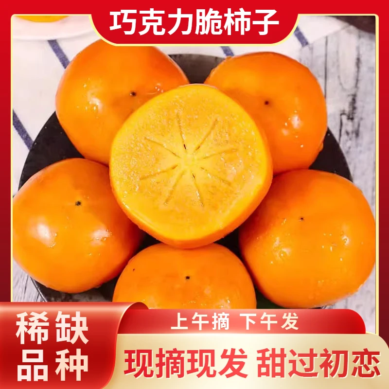 【果园现摘】正宗巧克力脆甜柿子3-5斤新鲜采摘脆甜冰糖心柿削皮