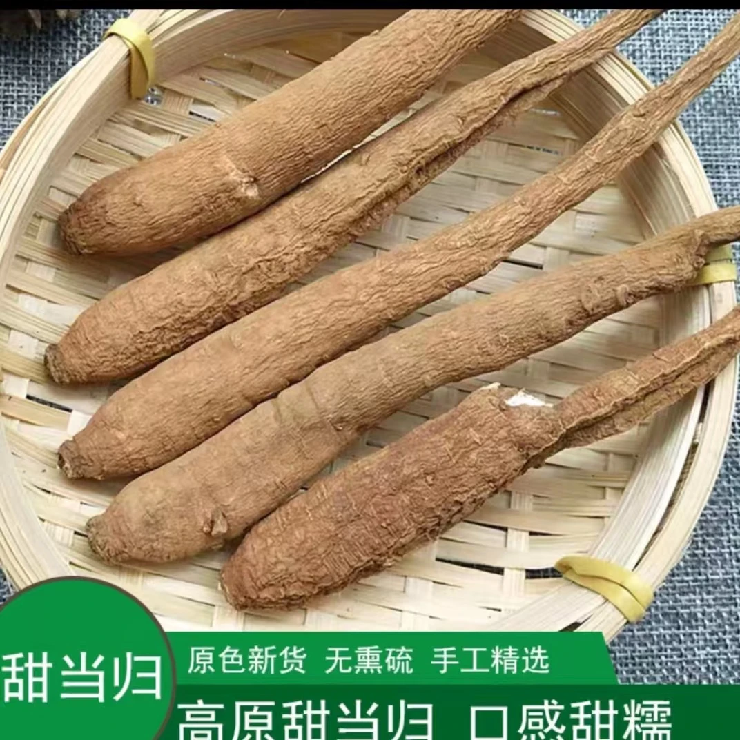 [甜当归] 正宗川西高原菜当归独脚归新鲜100克~1千克煲汤熬水炖煮