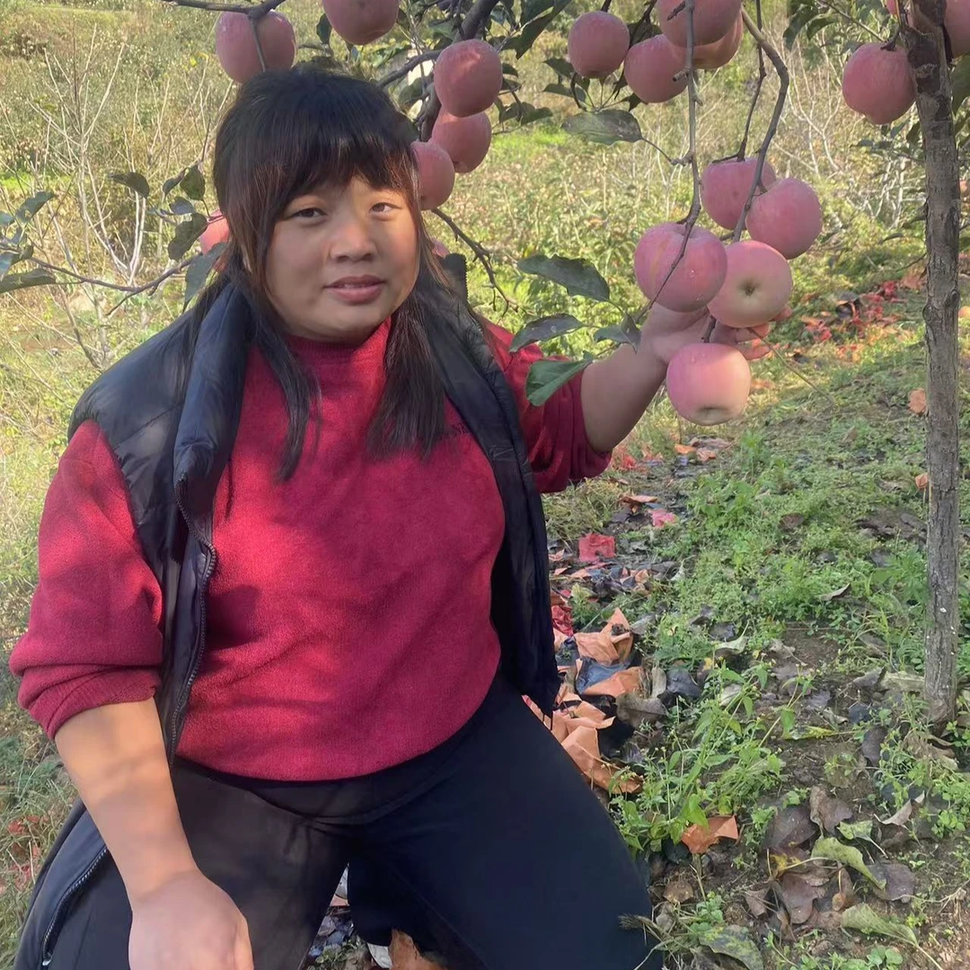 太行山红富士苹果5斤包邮