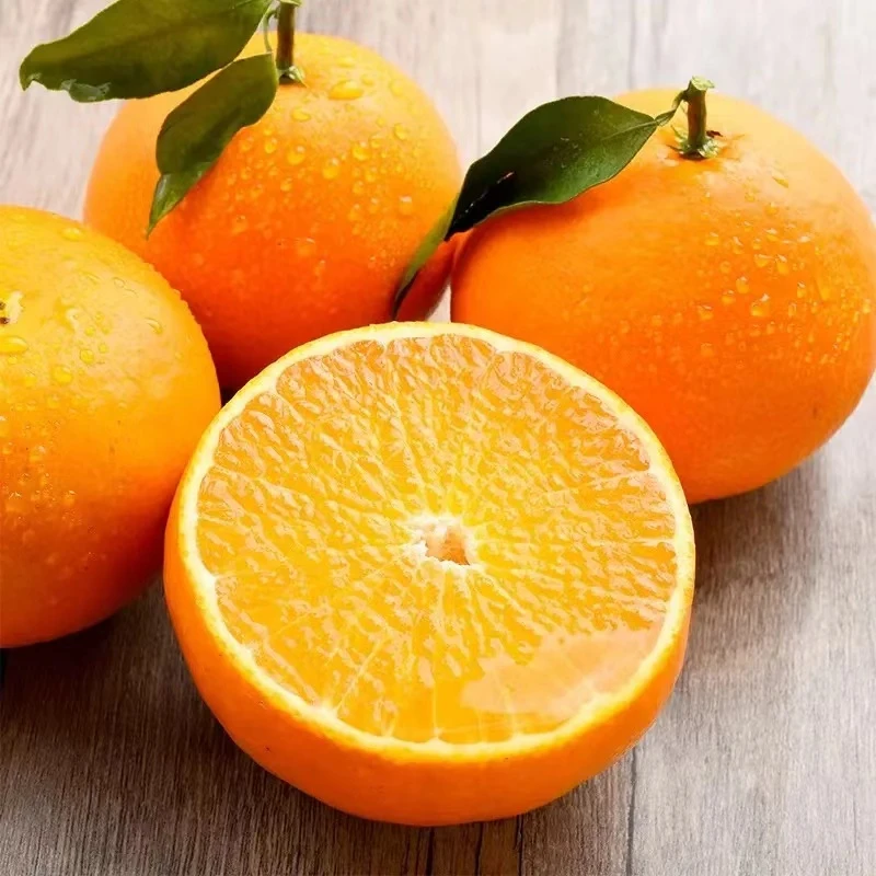 【品质甄选】果冻橙四川眉山现摘现发新鲜应季爱媛38号-甄选向阳果
