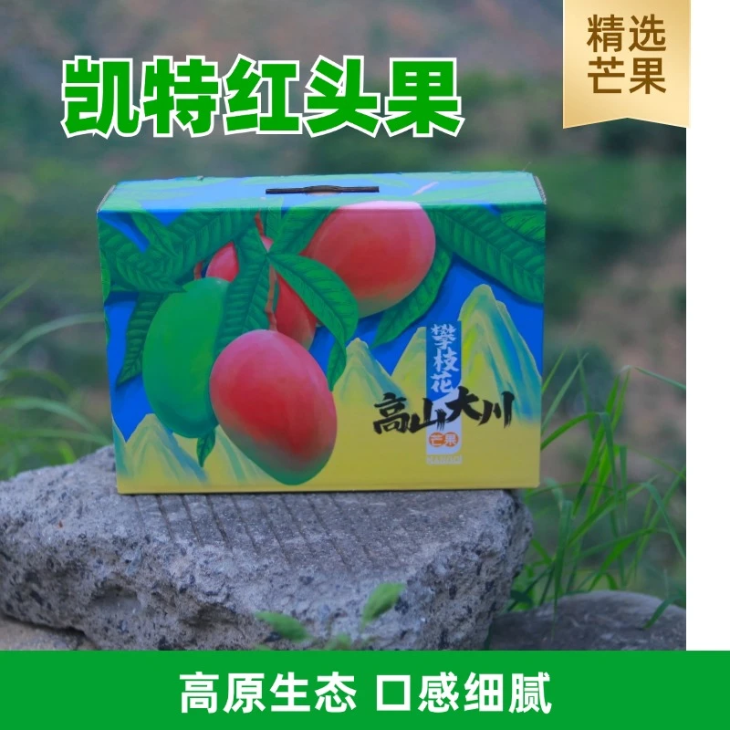 【楚铃专属】正宗四川攀枝花凯特芒果现摘现发核薄鲜甜多汁礼盒