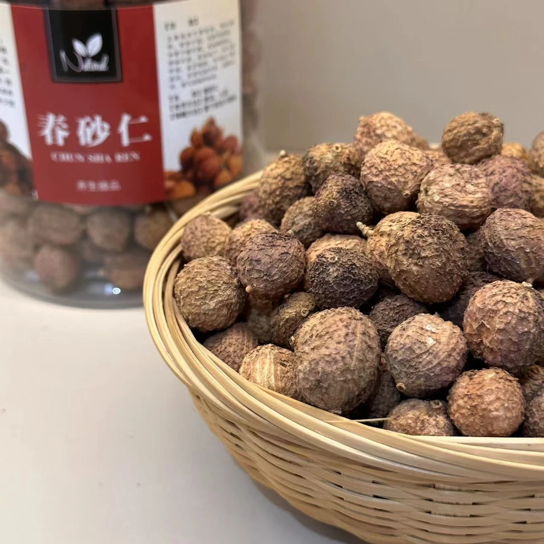【福利】精选大果正宗阳春春砂仁