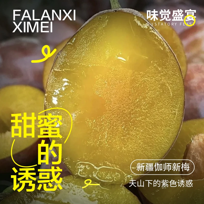 【京东空运】新疆法兰西西梅树上熟新鲜采摘肉厚多汁礼盒装包邮