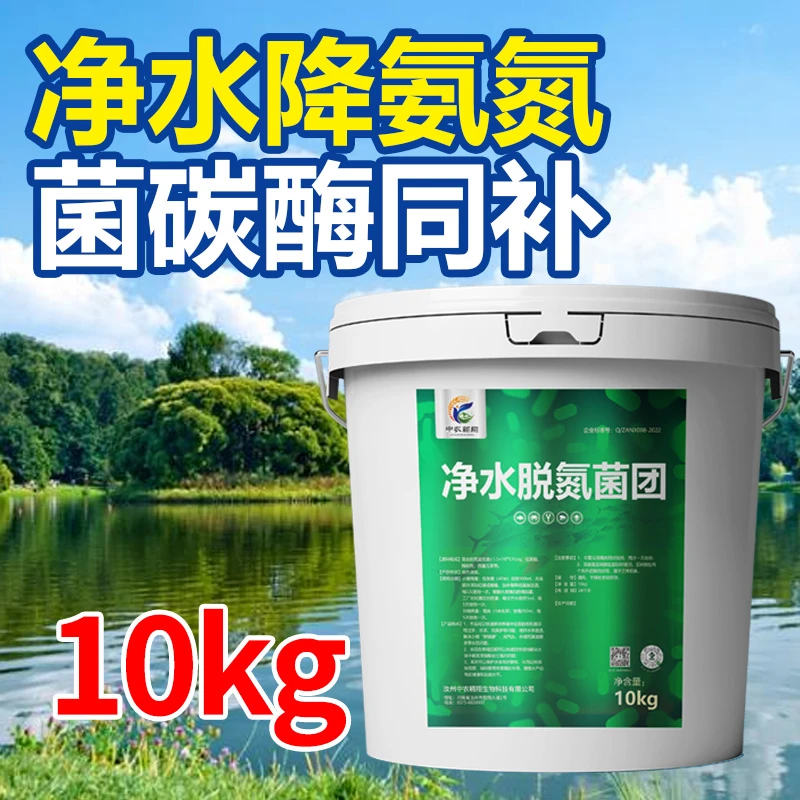 净水脱氮菌团 10kg/桶 150亿活菌制剂碳菌同补快净水降氨氮不反弹