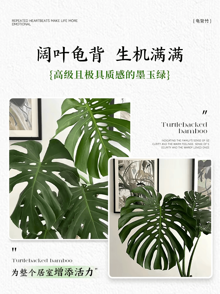 【精品】龟背竹盆栽绿植客厅北欧大型室内除甲醛植物办公室植物