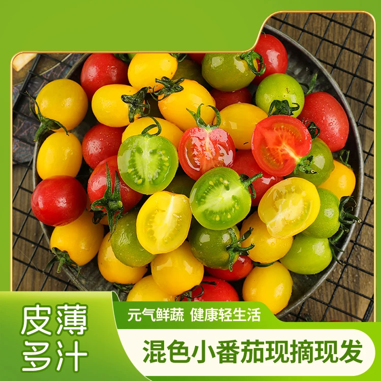 【现摘现发】【顺丰】正宗 山东寿光 千禧 迷恋 青甜三色 香甜小番茄