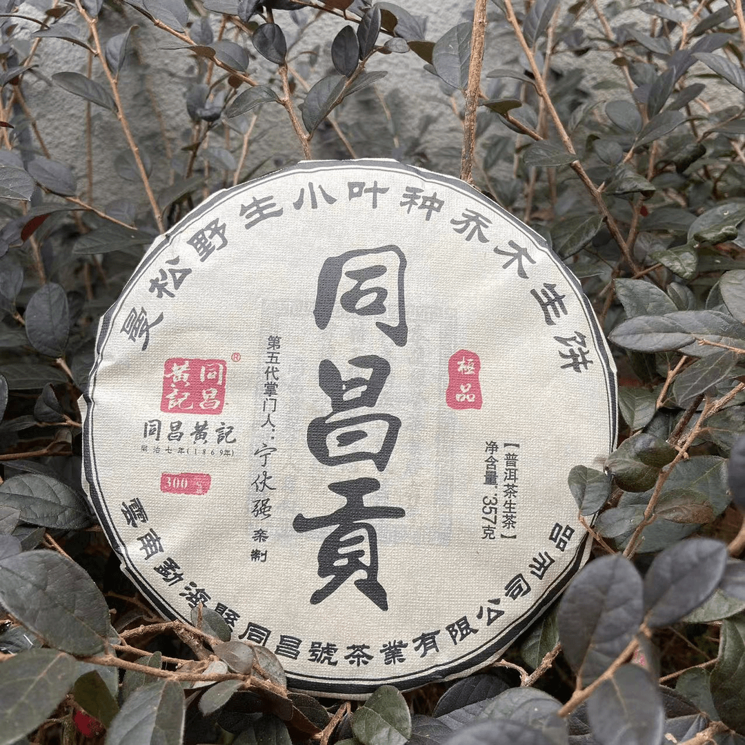 大杨杨专属-同昌黄记同昌贡曼松野生小叶种古树普洱茶357g/饼生茶
