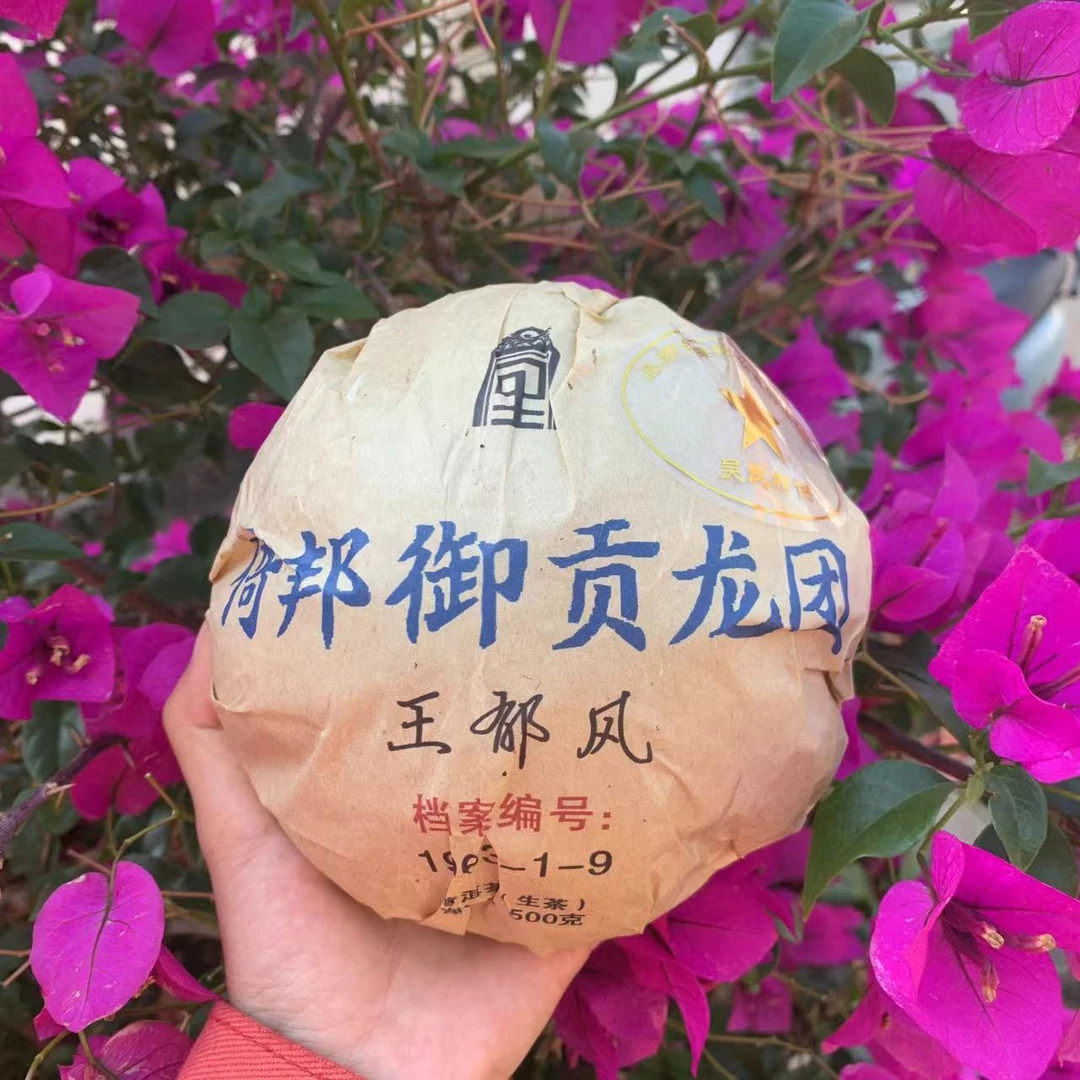 雨腾小号 宫里造物王郁风倚邦御贡龙团古树普洱茶500g/沱 生茶