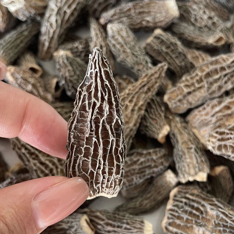 高原头茬特产新货羊肚菌新鲜干货家用批发菌菇滋补煲汤食材汤包