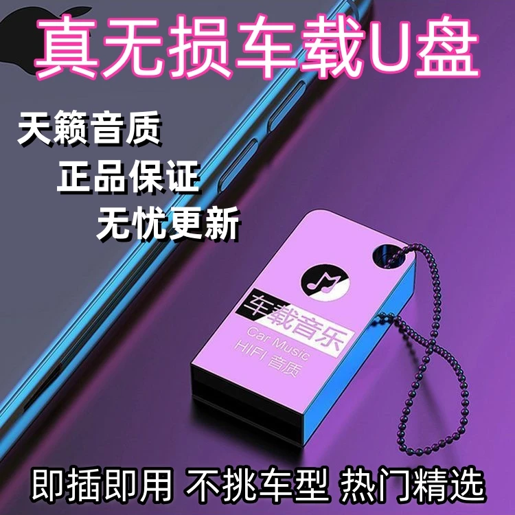 2024[新款车载】高端不分车型创意盘 即插即用